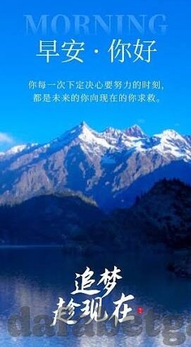 足球14场分析比分-足球14场分析比分，策略与洞察的深度探索