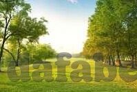 足球比分直播老板-探秘足球比分直播背后的隐形掌门人——那些不为人知的老板们