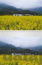 热门文章