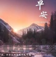 足球出现篮球的比分-当足球场惊现篮球比分，一场颠覆认知的绿茵奇谈