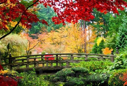 足球买比分买四个比分-理性看待足球比分竞猜，买四个比分背后的风险与智慧